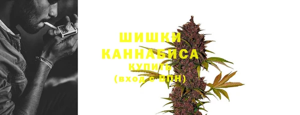 спиды Бронницы