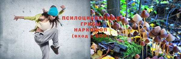 каннабис Бородино